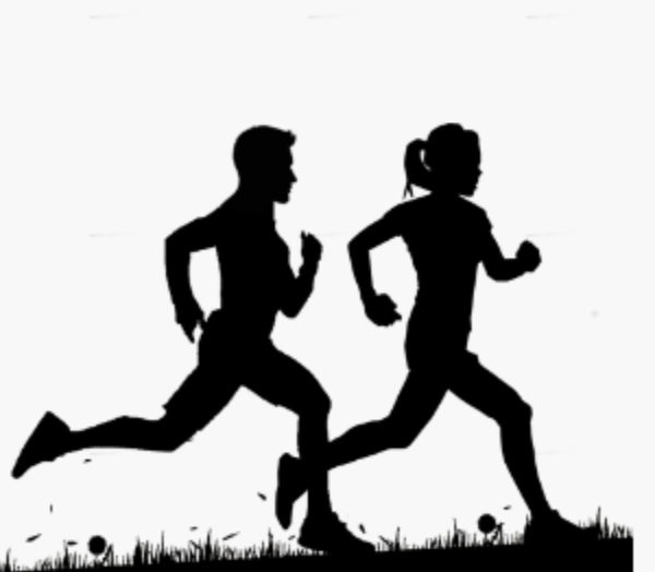 Regenerační inspirace – media 6